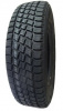 Forward Professional-219